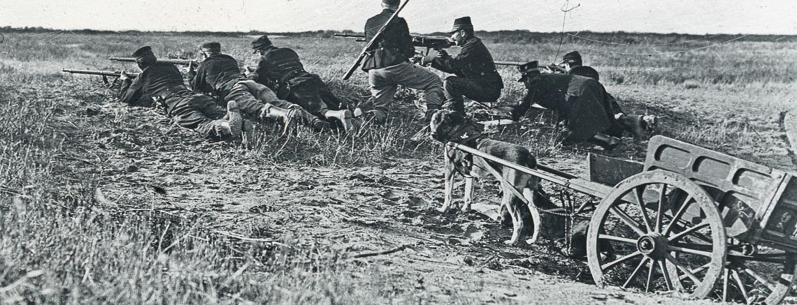 Troupes belges en position