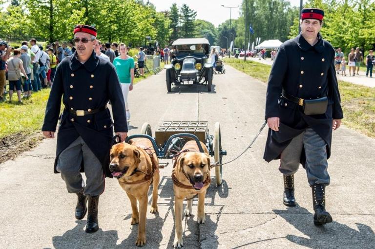 Infanteristen met mitrailleurhonden.